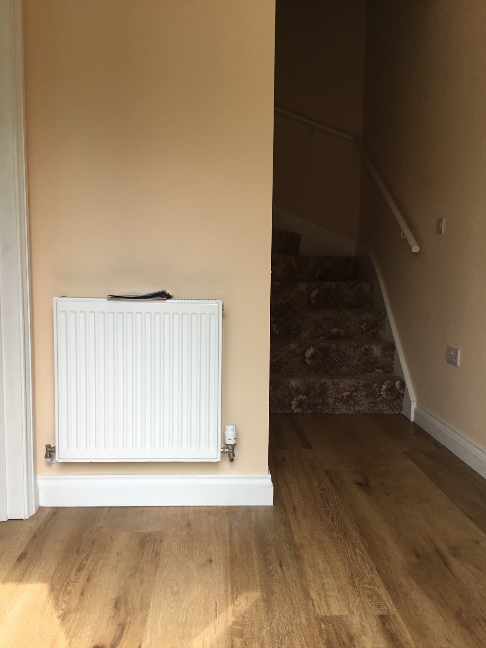 Devon Relocation Cottage for rent